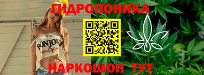 a pvp Волгодонск