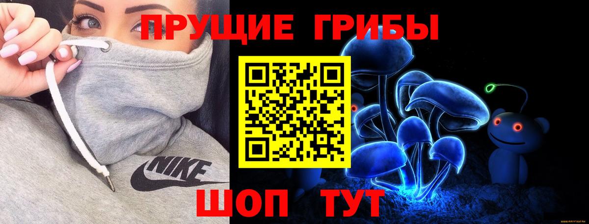 Галлюциногенные грибы GOLDEN TEACHER  Вход с VPN  Галлюциногенные грибы Psilocybine cubensis  Можайск 